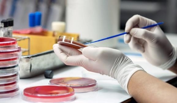 Laboratory performing antimicrobial susceptibility testing to guide antibiotic therapy