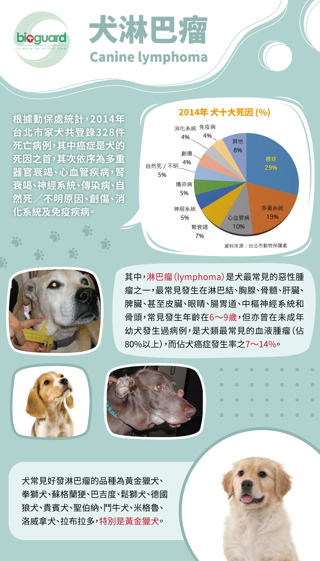 犬猫常见肿瘤病症的20个表现_宠物医生-姚海峰博士_新浪博客