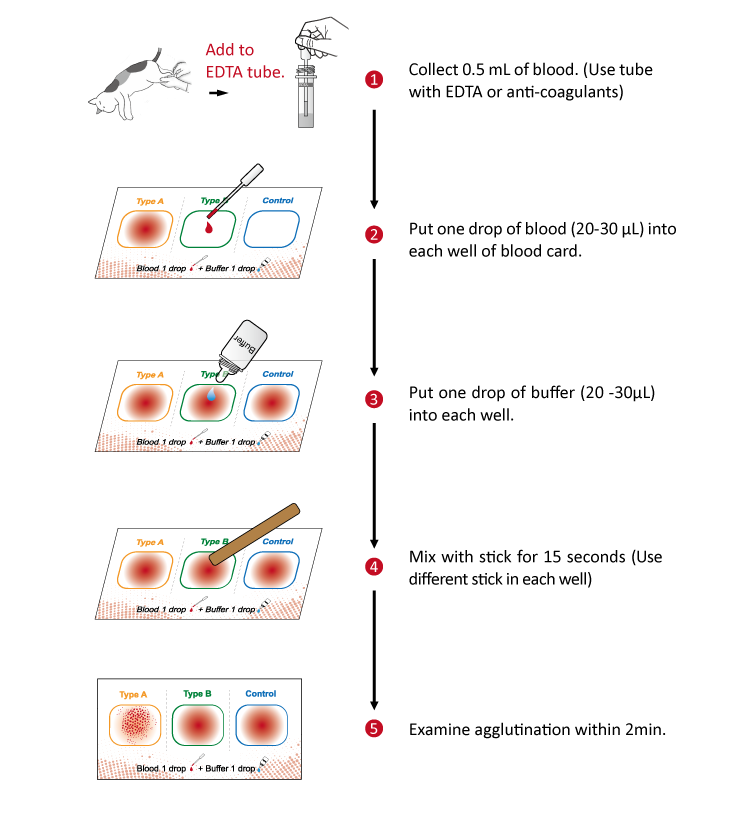 Feline Blood Typing Kit - Bioguardlabs