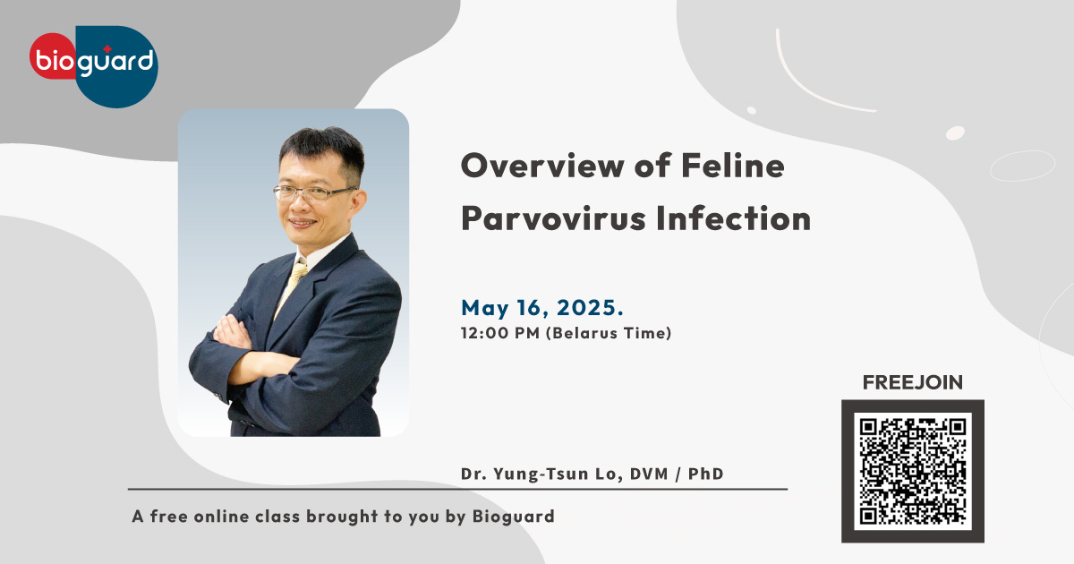 Overview of Feline Parvovirus Infection