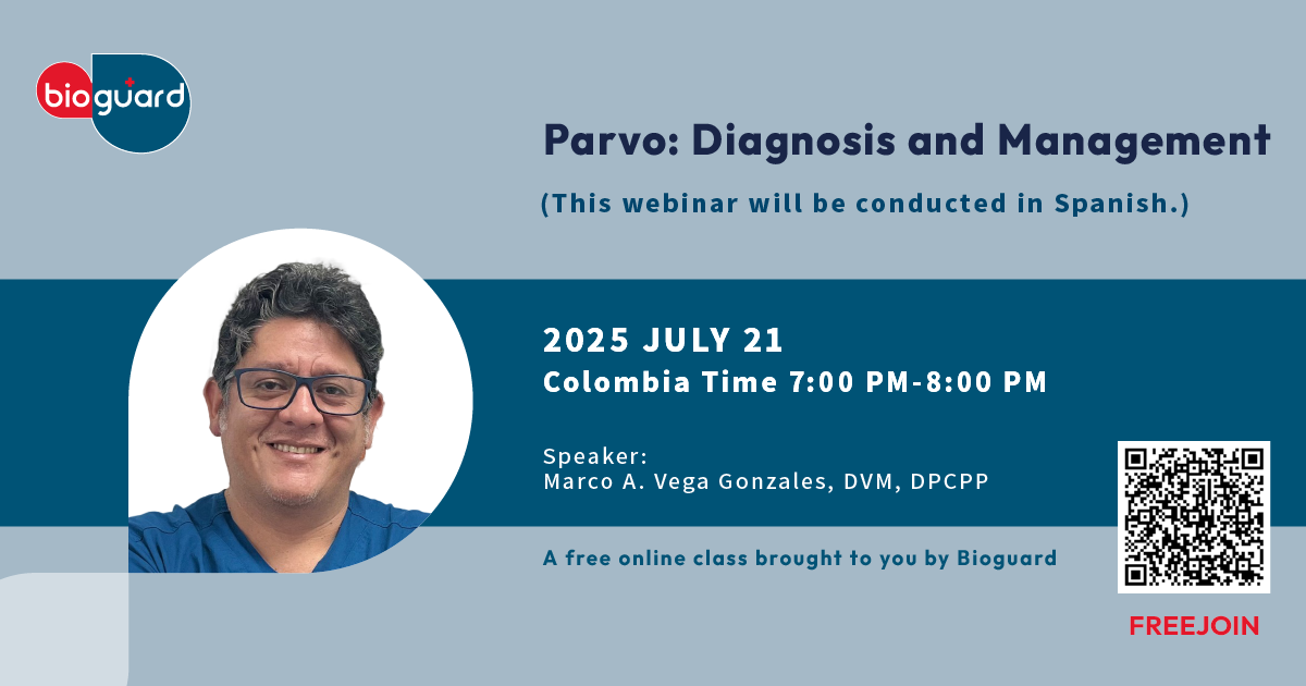 Parvo: su diagnóstico y manejo