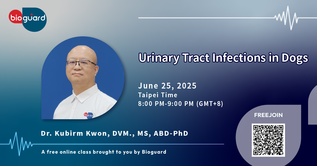 Urinary Tract Infections in Dogs